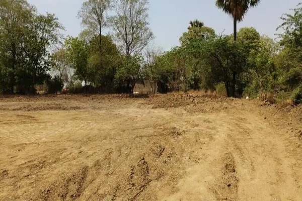 Agricultural expansion